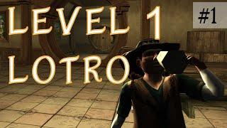 Level 1 LOTRO part 1: Why