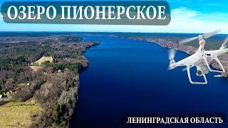 Озеро Пионерское. Озеро Смерти.  д. Малышево. DJI. С высоты.