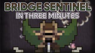 Afro's 3 Minute Guide to the Bridge Sentinel