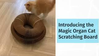 Magic Organ Cat Scratching Board- Petropica