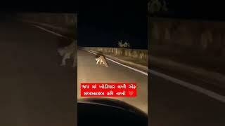 Jay maa khodiyar ️ #khodiyar #khodal #viralvideo #shortvideo #love