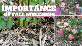  Importance of Fall Mulching - SGD 168 