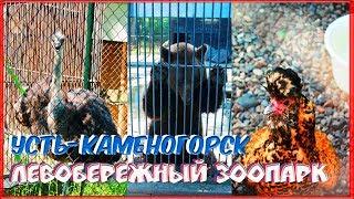 Усть-Каменогорск, Левобережный зоопарк. Восточный Казахстан
