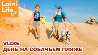 VLOG: день на собачьем пляже