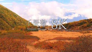 【8K】Japan's leading autumn leaves spot Visit Senjojiki Cirque