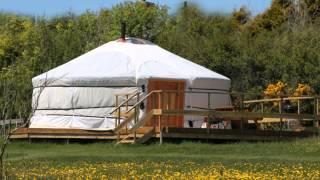 Koa Tree Camp