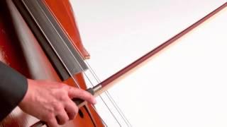 Slow Motion Orchestra: Double Bass