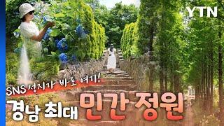 비밀 정원의 초대 – 8편 그레이스 정원 / YTN