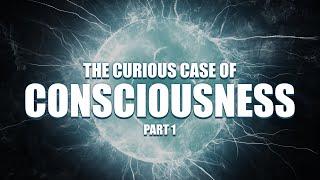 The Mystery of Consciousness: Origin, Nature & Theories of Subjective Experience & Self Awareness