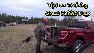 How to Train Rabbit dogs/Tips on how to have great Rabbit Beagles/How to have great rabbit dogs