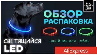 Обзор Распаковка Светящийся Led ошейник для собак с AliExpress