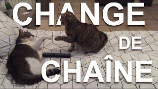 CHANGE DE CHAÎNE - PAROLE DE CHAT