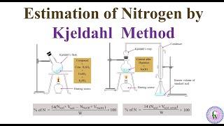 Kjeldahl Method