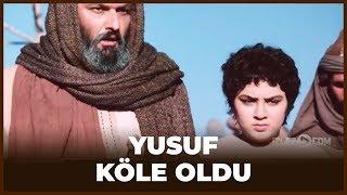 Yusuf Köle Olarak Satıyor! - Hz Yusuf 8. Bölüm