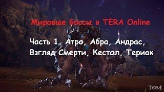 Мировые боссы Tera Online. Часть 1: Андрас, Абраксис, Атроцитас, Кестол, Териак, Взгляд смерти