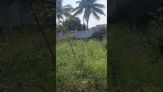133 sq yads open plot availible at JBIT near 200 ft road ( police academy)