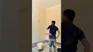 Luxury paint Berger OFF white #paintcolor #wallputti #shortvideo #shortsfeed