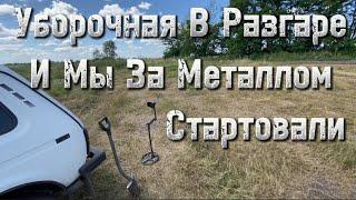 Коп Металла Вдоль Поля! Здесь всегда можно найти что нибудь! Металлокоп2024#metaldetecting