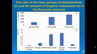 Impact of mini-hydropower on the chemical composition of water and phytoplankton of the reservoirs