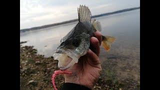 Озернинское водохранилище. Рыбалка на отводной поводок и джиг риг поздней осенью.