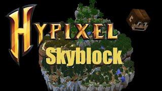 Hypixel Skyblock Let's Play - Part 28 - Monkey Pet