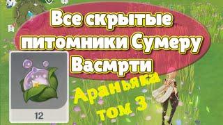 ВСЕ ПИТОМНИКИ В СУМЕРУ. Васмрти. Что делать после Варуна-гата? | Genshin Imapct