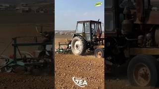 993270080 993280080 #seyalka #agro #сеялка #makkajuxori #трактор #чигит #пахта #нухот #еренгок