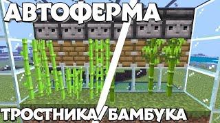 АВТОФЕРМА ТРОСТНИКА/БАМБУКА В МАЙНКРАФТ ПЕ || В ТЕЛЕФОННОМ МАЙНКРАФТЕ || МАЙНКРАФТ ГАЙДЫ