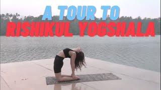 Rishikul Yogshala   A TOUR TO RISHIKIL YOGSHALA Yoga teacher training in india  No +919845271423