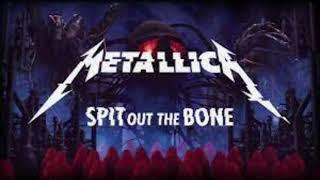 Metallica- Spit Out The Bone Guitar Backing Track With Vocals