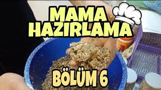 MUHABBET KUŞU MAMA HAZIRLAMA - DETAYLAR - ( BÖLÜM 6 )