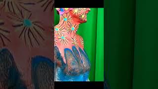 Face Paint Body Art Paint #facepaint #shorts #youtubeshorts #facepainting