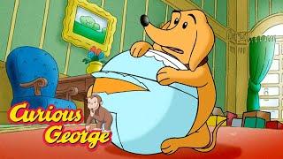 Curious George ️ Playing with George and Hundley ️ FULL EPISODE ️ Kids Cartoon