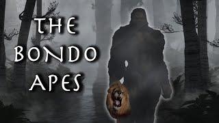 The Theory Of The Bondo Apes