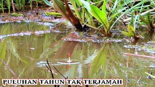 Yuk kita gasak..!! spot mancing di rawa hutan belum terjamah #PR-164