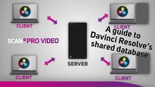 Creating A Shared Database Within DaVinci Resolve Studio