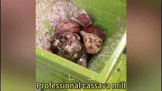 CHANGTIAN cassava leaves machinery cassava rasper machine