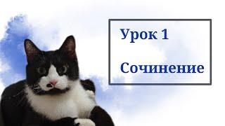 Экспресс-курс по русскому языку "Готовимся к ЕГЭ". Урок 1. Сочинение.