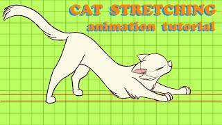 CAT STRETCHING Animation Tutorial