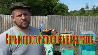 Как проще всего вывести матку для себя!!!