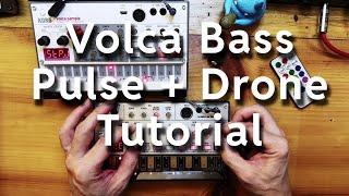 Korg Volca Bass Pulse and Drone Jam and Tutorial w/ Volca Sample