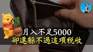 最新數據，中國超13億人月薪不足5000？中國人躲的過個稅，卻躲不過社保稅！｜小翠時政財經 [20241017#608]