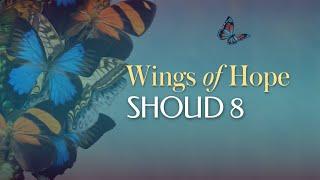 On the Wings of Hope • Shoud 8