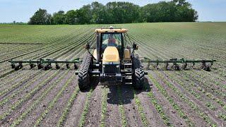 Putting my NEW equipment to the TEST... Feeding the Corn