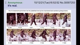 anon realizes bigfoot is real