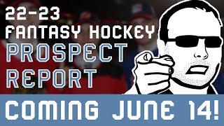 ULTIMATE Fantasy Hockey Prospect Guide To WIN YOUR POOL  | DobberHockey's 16th Annual Prospect Guide