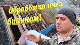  Обработка ПЧЕЛ БИПИНОМ от клеща! Очень просто и подробно! #пчеловодство1