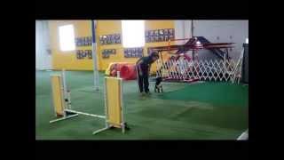 Min - ACTS UKI - Beg Speedstakes - 3-15-15