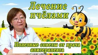 ЛЕЧЕНИЕ ПЧЕЛАМИ – ЧУДО ПРИРОДЫ! Советы от врача высшей категории, апитерапевта Айгул Мелисовной!