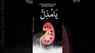 Kidney Stone 🪨 ke Liye Wazifa#ruhanimarkaz313|By Maulana Shafiq Alamgiri